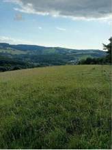 Thumbnail von Traumhaftes Grundstück nahe Neulengbach/Altlengbach