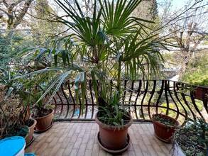 Thumbnail von Appartement in historischer Villa direkt am Meer / Lungomare