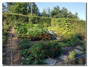 Thumbnail von Einzigartiges Landhaus auf eigenem Hügel mit Panoramablick