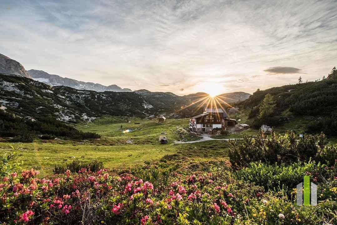 Berghütte/Alm in traumhafter Alleinlage mit Blick auf das atemberaubende Dachsteinmassiv