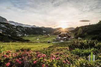 Thumbnail von Berghütte/Alm in traumhafter Alleinlage mit Blick auf das atemberaubende Dachsteinmassiv