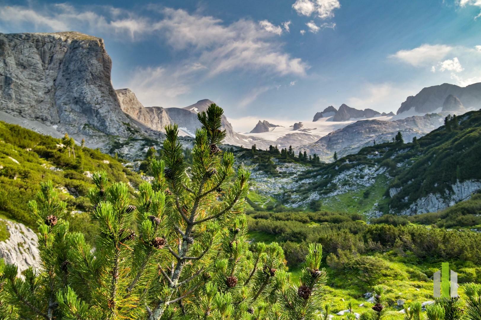 Thumbnail von Berghütte/Alm in traumhafter Alleinlage mit Blick auf das atemberaubende Dachsteinmassiv