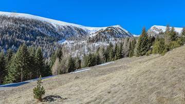 Thumbnail von ALM-CHALET 1 - Freizeitwohnsitz in Toplage