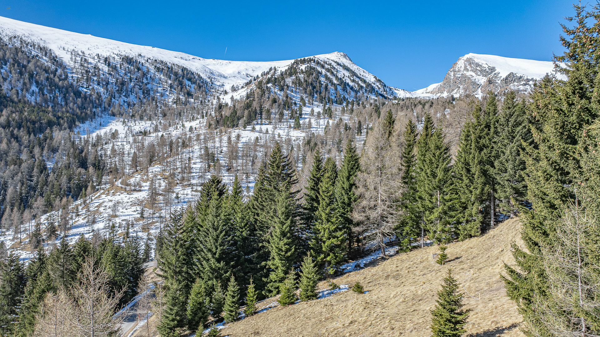 Thumbnail von ALM-CHALET 1 - Freizeitwohnsitz in Toplage