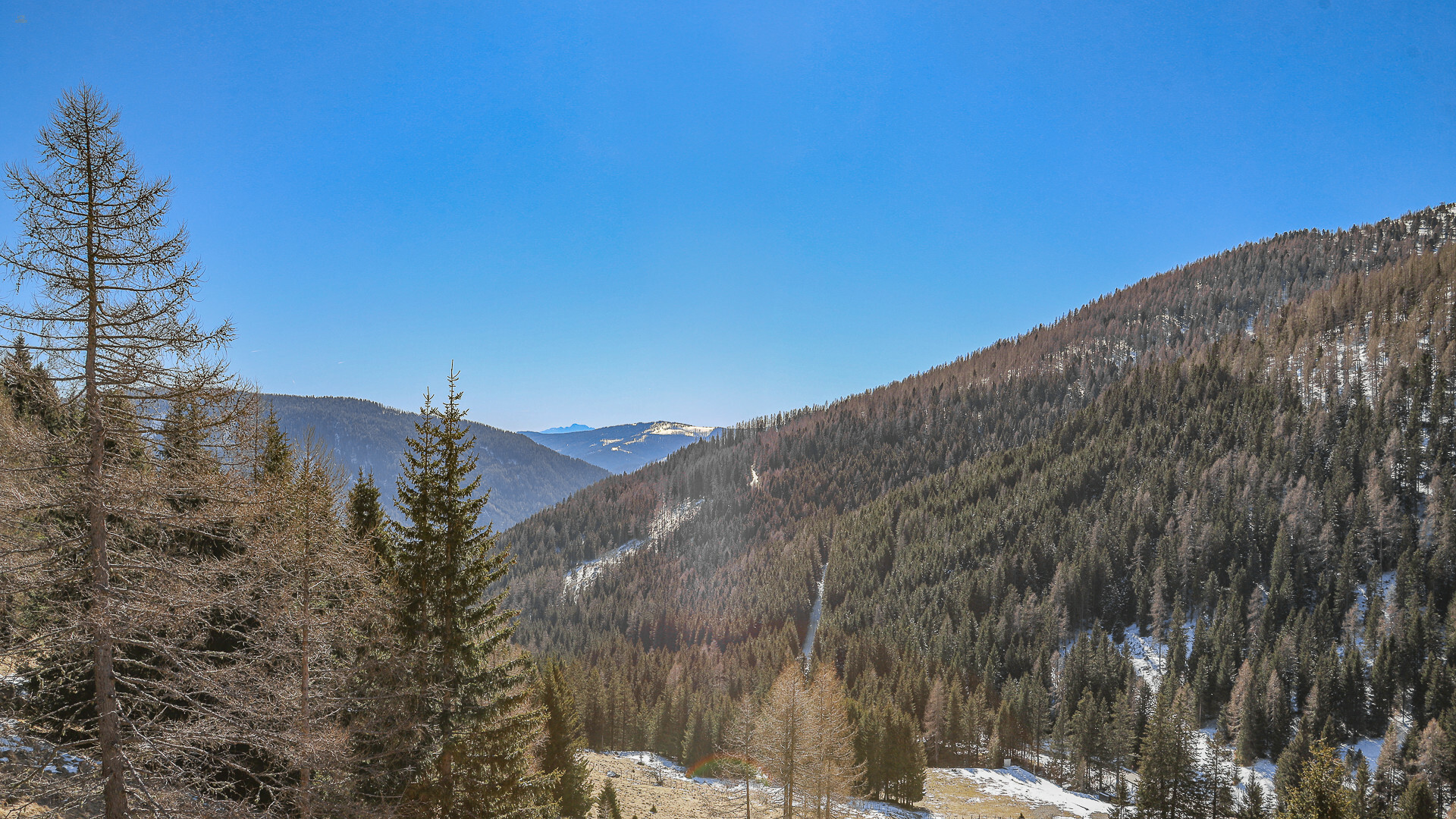 Thumbnail von ALM-CHALET 1 - Freizeitwohnsitz in Toplage