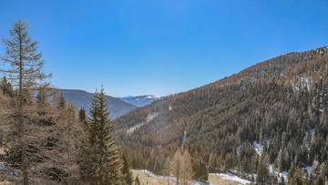 Thumbnail von ALM-CHALET 1 - Freizeitwohnsitz in Toplage