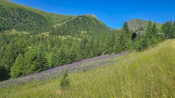 Thumbnail von ALM-CHALET 3 - Freizeitwohnsitz in Toplage
