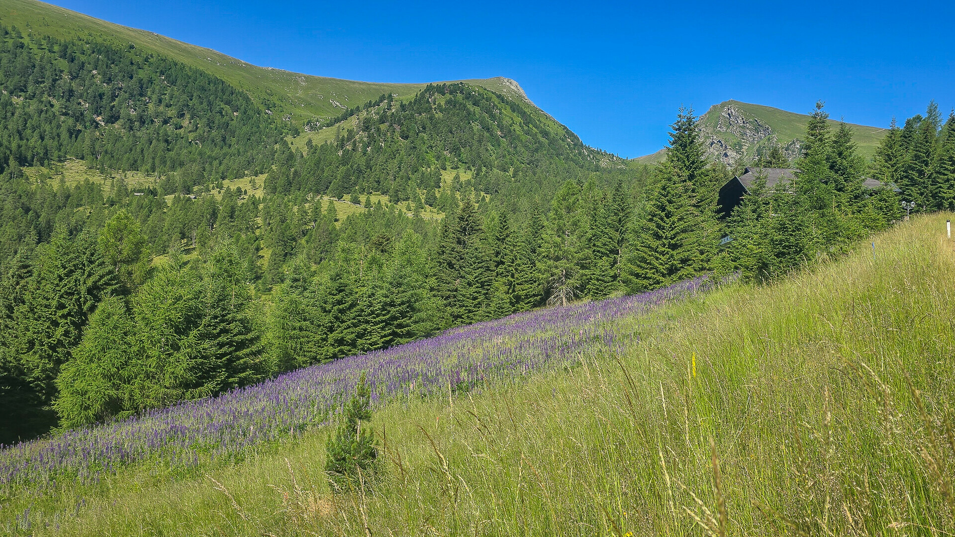 Thumbnail von ALM-CHALET 4 - Freizeitwohnsitz in Toplage