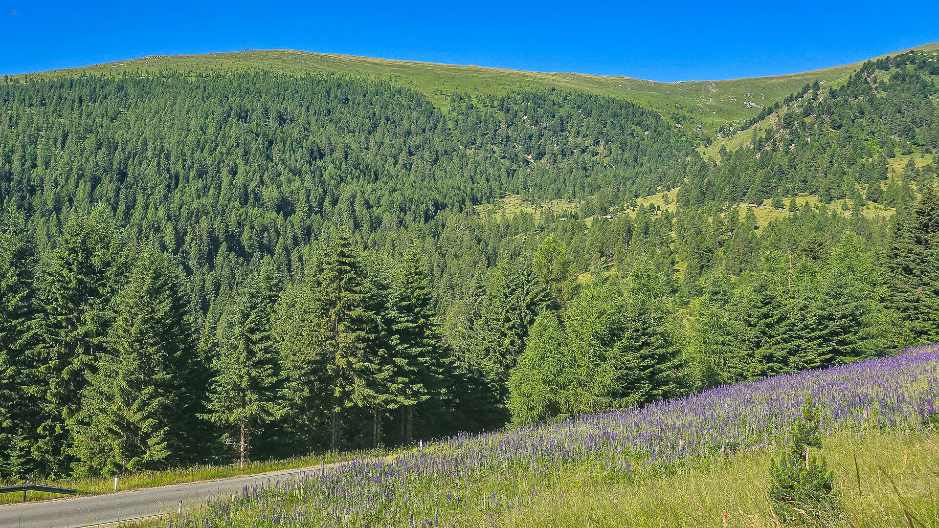 Thumbnail von ALM-CHALET 5 - Freizeitwohnsitz in Toplage