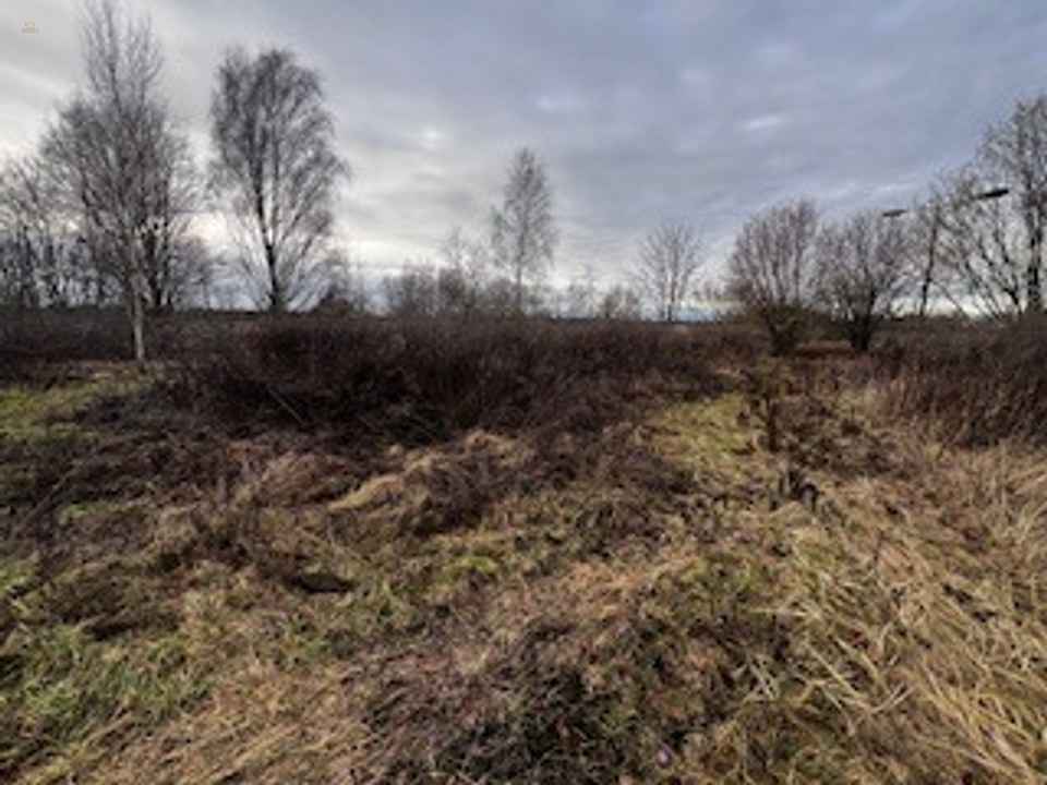 Investment - Grundstück für Wohnen und Gewerbe