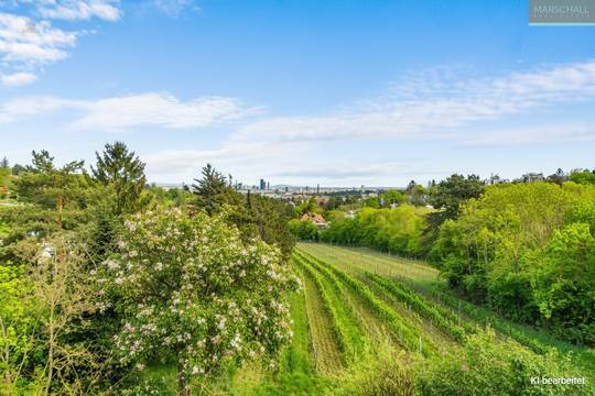 Traumhafte Terrassenwohnung in nobler Grünruhelage direkt beim Weingarten