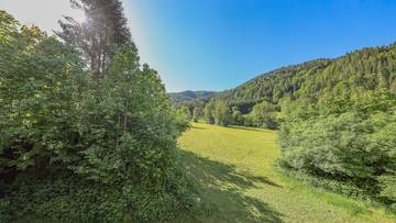 Thumbnail von Historisches Bauernhaus in Grün-Ruhelage
