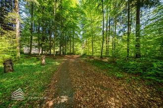 Thumbnail von Exklusives Badeparadies am Wörthersee: Ihr privates Refugium mit Seezugang und Waldidylle