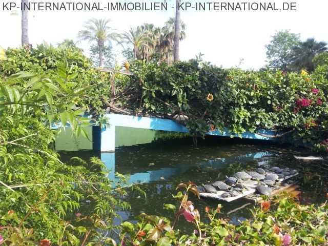 Thumbnail von ***Traumappartement mit spektakulärem Meerblick***