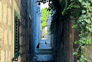 Thumbnail von Mediterranes Steinhaus in attraktiver Lage - zur Renovierung