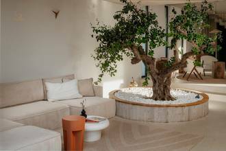 Thumbnail von Luxuriöse Villa in mediterraner Lage auf Solta