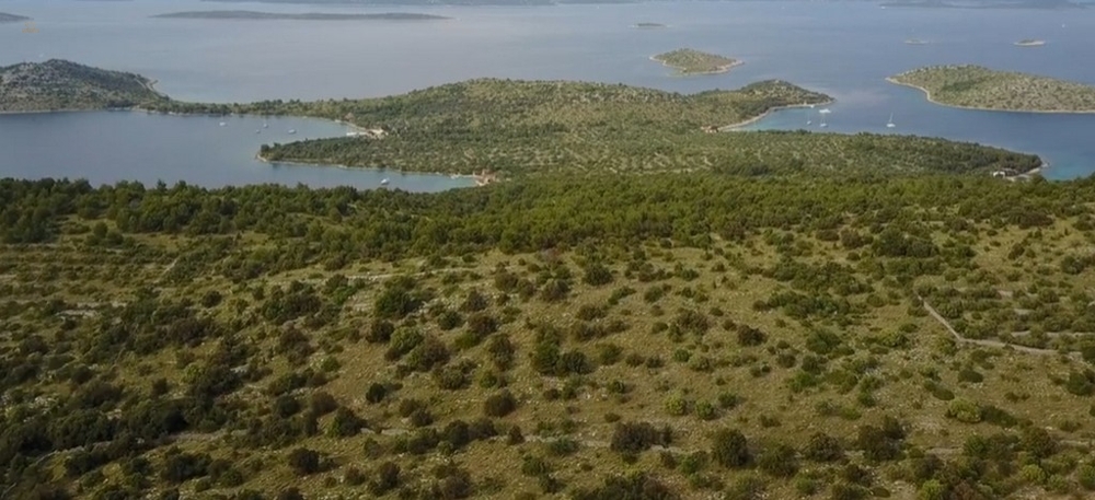 Thumbnail von Landwirtschaftliches Grundstück mit Entwicklungsmöglichkeiten inkl. kleiner Insel