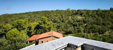 Thumbnail von Haus in ruhiger Lage nahe dem Meer, Dugi Otok