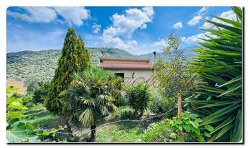 Thumbnail von Immogold Sizilien SGS 25093 schnuckeliges, Anwesen im Nebrodi Park