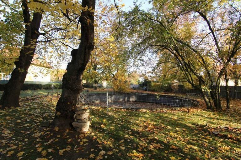 Thumbnail von Barockschloss – Kultur, Prestige, Zukunft