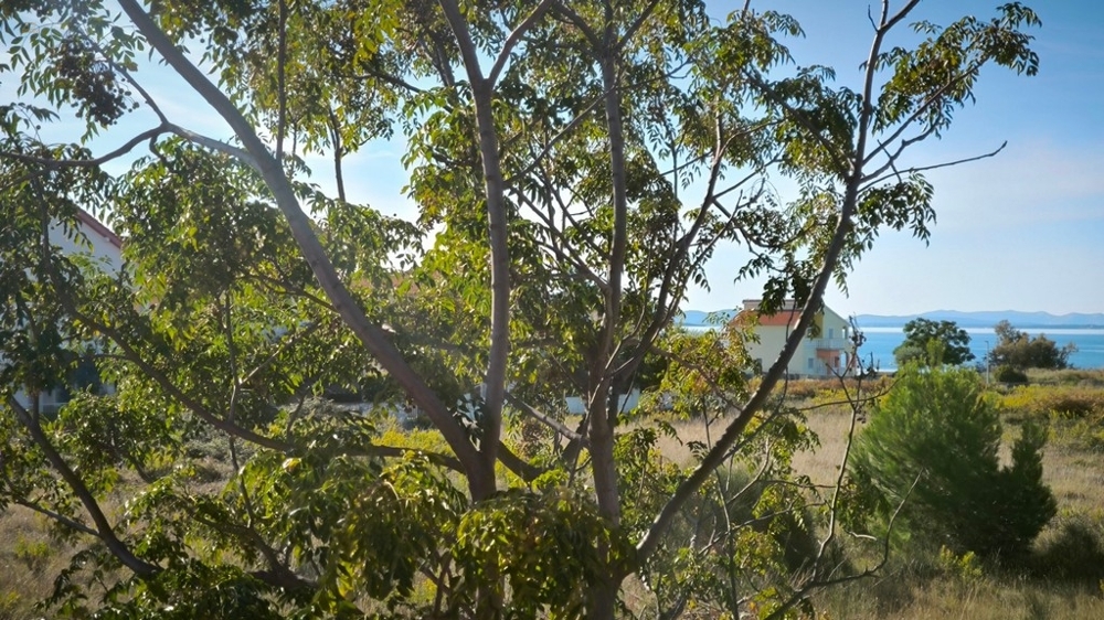 Maisonettewohnung nahe dem Meer