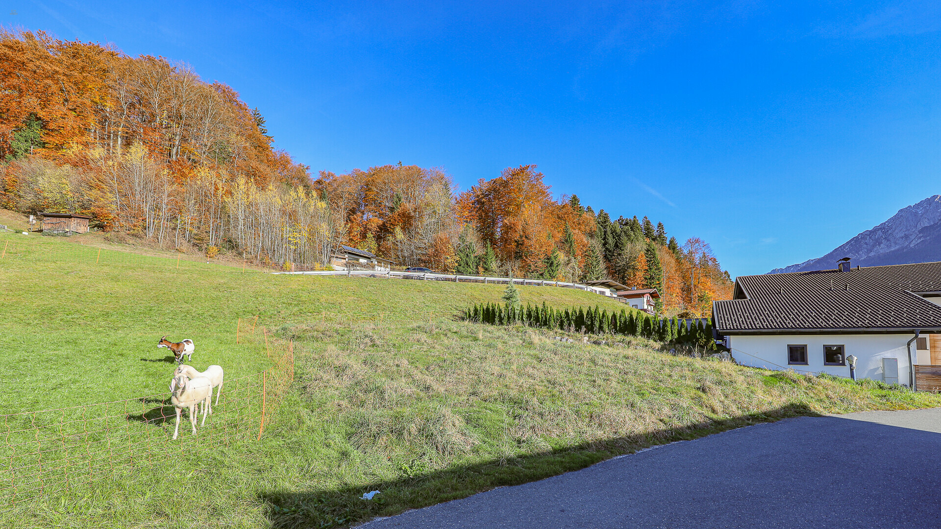 Thumbnail von Sonniges Baugrundstück für Ihr neues Eigenheim