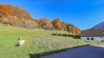 Thumbnail von Sonniges Baugrundstück für Ihr neues Eigenheim