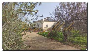 Thumbnail von Immogold Spanien Andalusien smartes Haus eine halbe Stunde von Sevilla