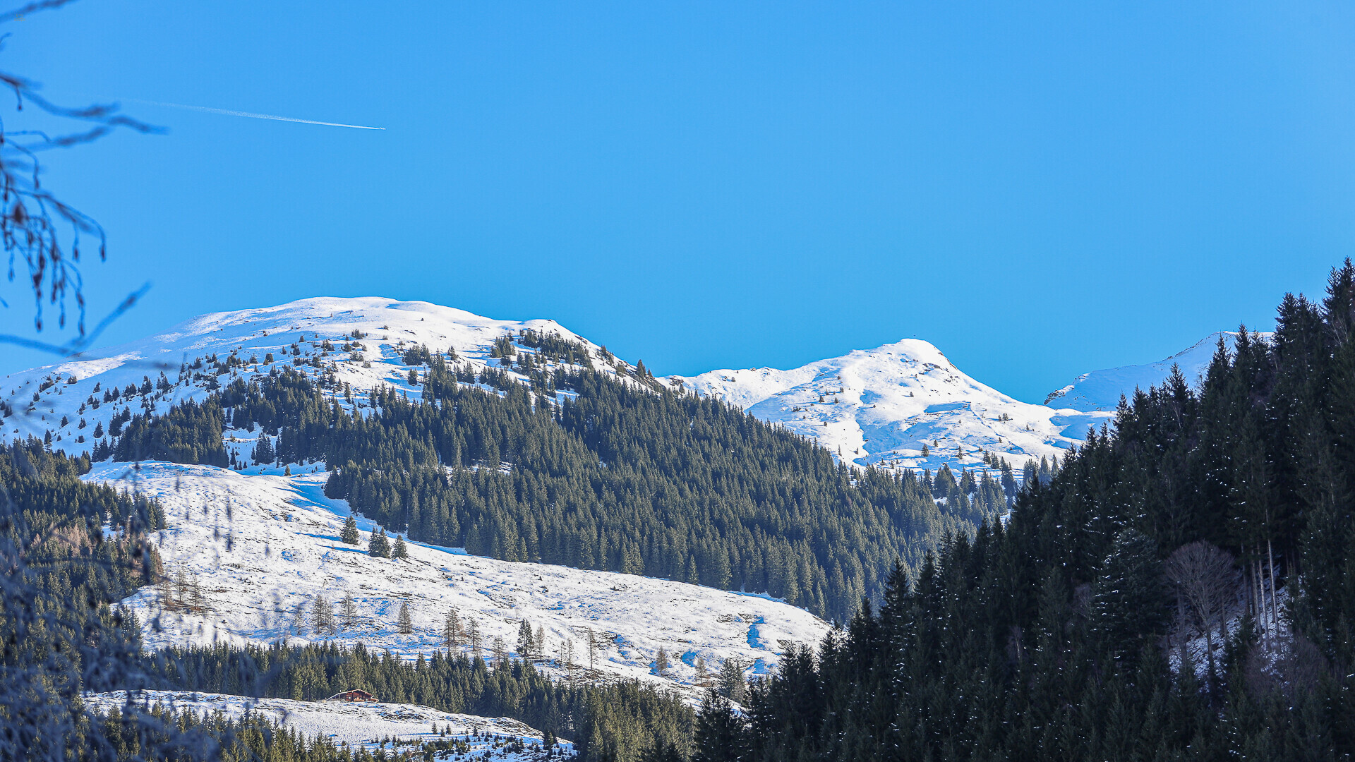 Thumbnail von Tirolerhaus mit über 3.800 m² Grund in idyllischer Ruhelage