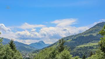 Thumbnail von Weinberg Residenz - Top 4 (Baustart 2026 KW 15)