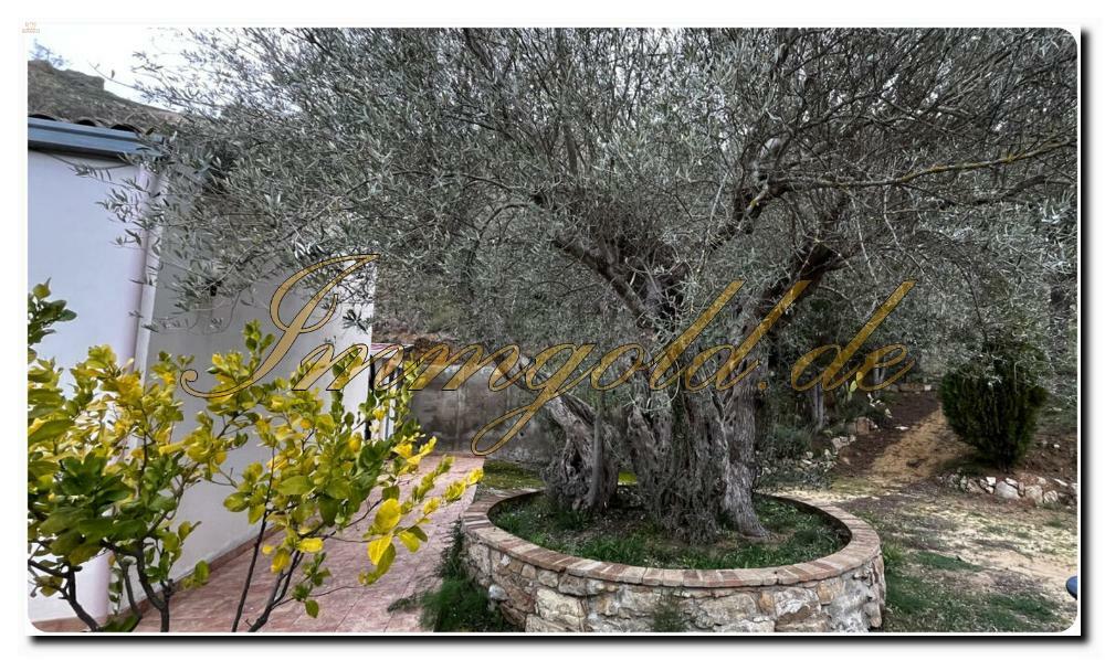 Thumbnail von Immogold Sizilien, Platz bietende Villa auf der Insel der Sizilianer, nahe bei der berühmtesten, römischen Villa der Insel