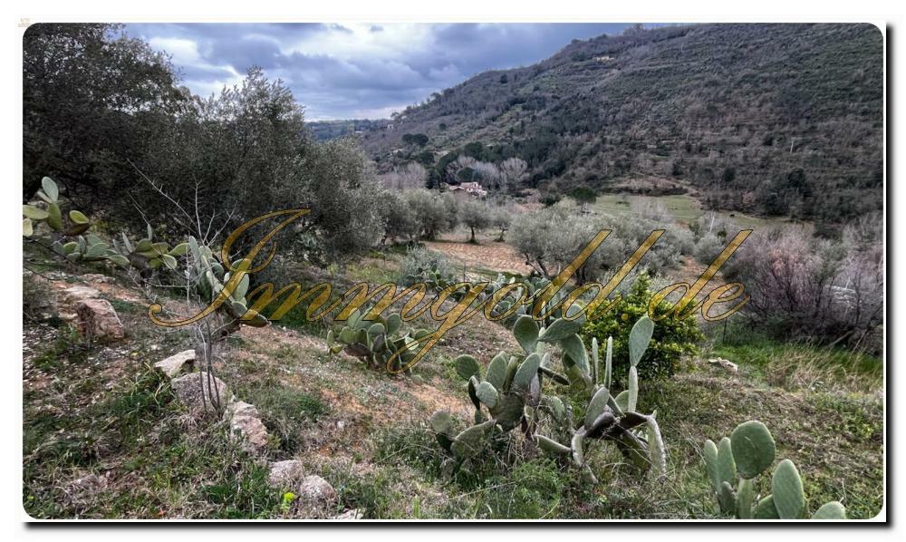 Thumbnail von Immogold Sizilien, Platz bietende Villa auf der Insel der Sizilianer, nahe bei der berühmtesten, römischen Villa der Insel