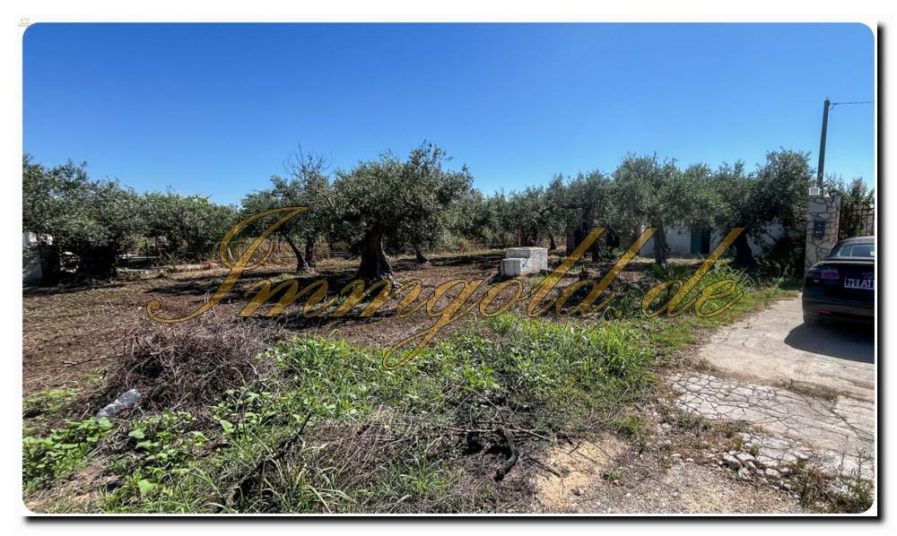 Thumbnail von Immogold Sizilien SGS 25123 Tolles Areal inklusive eines Olivenhains und Rustuico