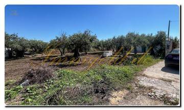 Thumbnail von Immogold Sicily SGS 25123 Harika bir alan, zeytinlik ve Rustuico dahil