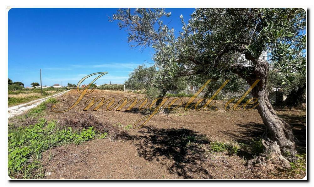 Thumbnail von Immogold Sizilien SGS 25123 Tolles Areal inklusive eines Olivenhains und Rustuico