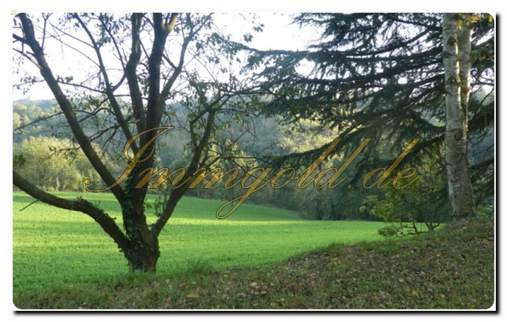 Thumbnail von Großes, vom Grün umgebenes Bauernhaus mit riesigem Grundstück in Murazzano
