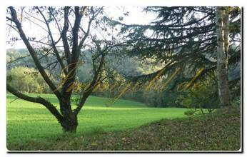 Thumbnail von Großes, vom Grün umgebenes Bauernhaus mit riesigem Grundstück in Murazzano