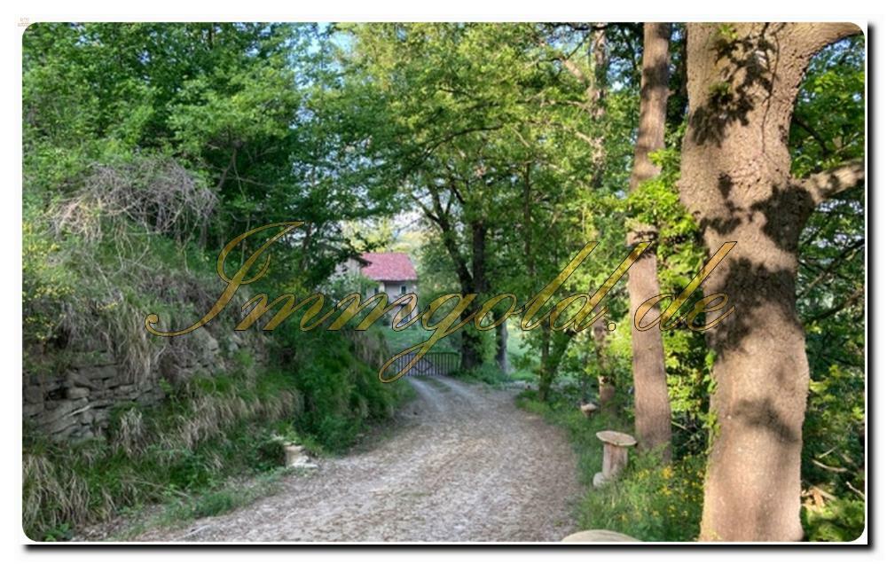 Thumbnail von Großes, vom Grün umgebenes Bauernhaus mit riesigem Grundstück in Murazzano