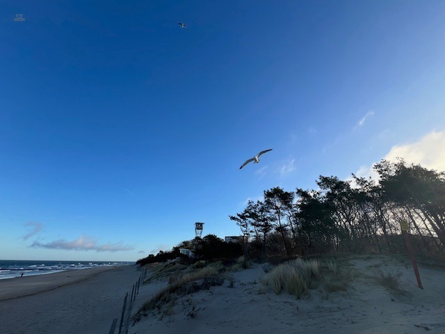 Thumbnail von Top Investment am feinen Sandstrand  - 2,5h Stunden von Berlin