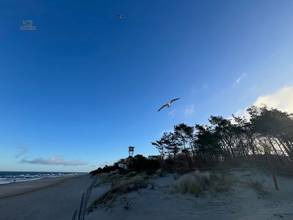 Thumbnail von Top Investment am feinen Sandstrand  - 2,5h Stunden von Berlin