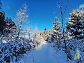 Thumbnail von Neuwertige Gartenwohnung in ruhiger Lage unweit von den traumhaften Seen des Salzkammerguts