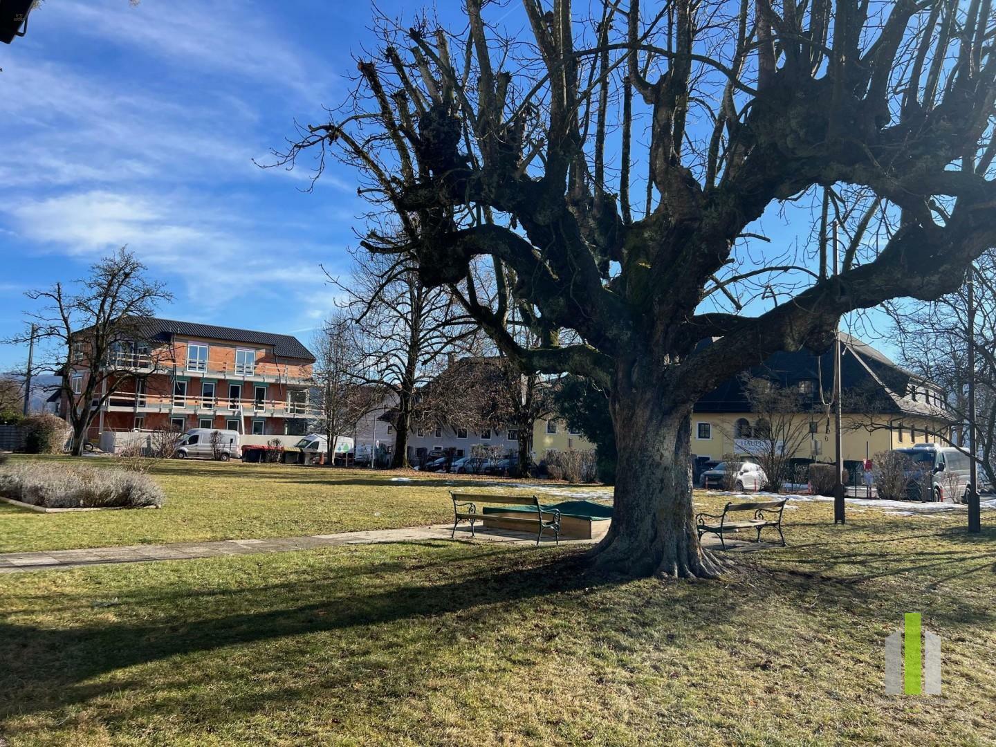 Thumbnail von Wohnung mit viel Potential in Toplage!!