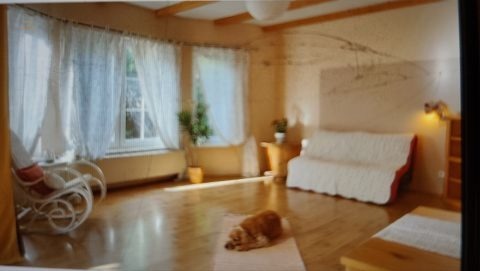 Thumbnail von Gepflegtes Einfamilienhaus mit kleinem Garten