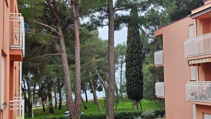 Wohnung am Meer