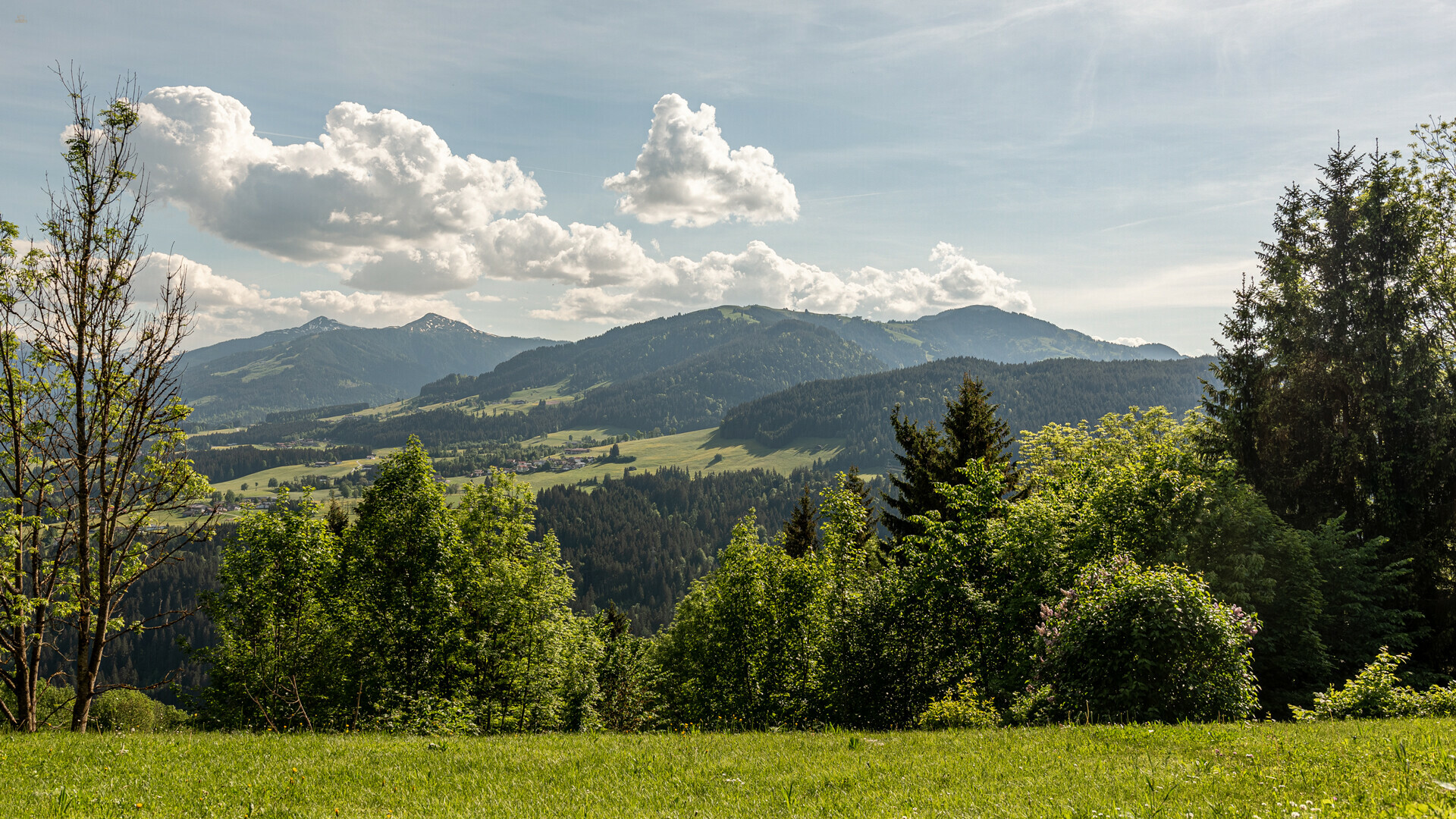 Thumbnail von Grundstück mit Baugenehmigung für 2 Luxuschalets