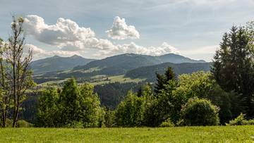 Thumbnail von Grundstück mit Baugenehmigung für 2 Luxuschalets