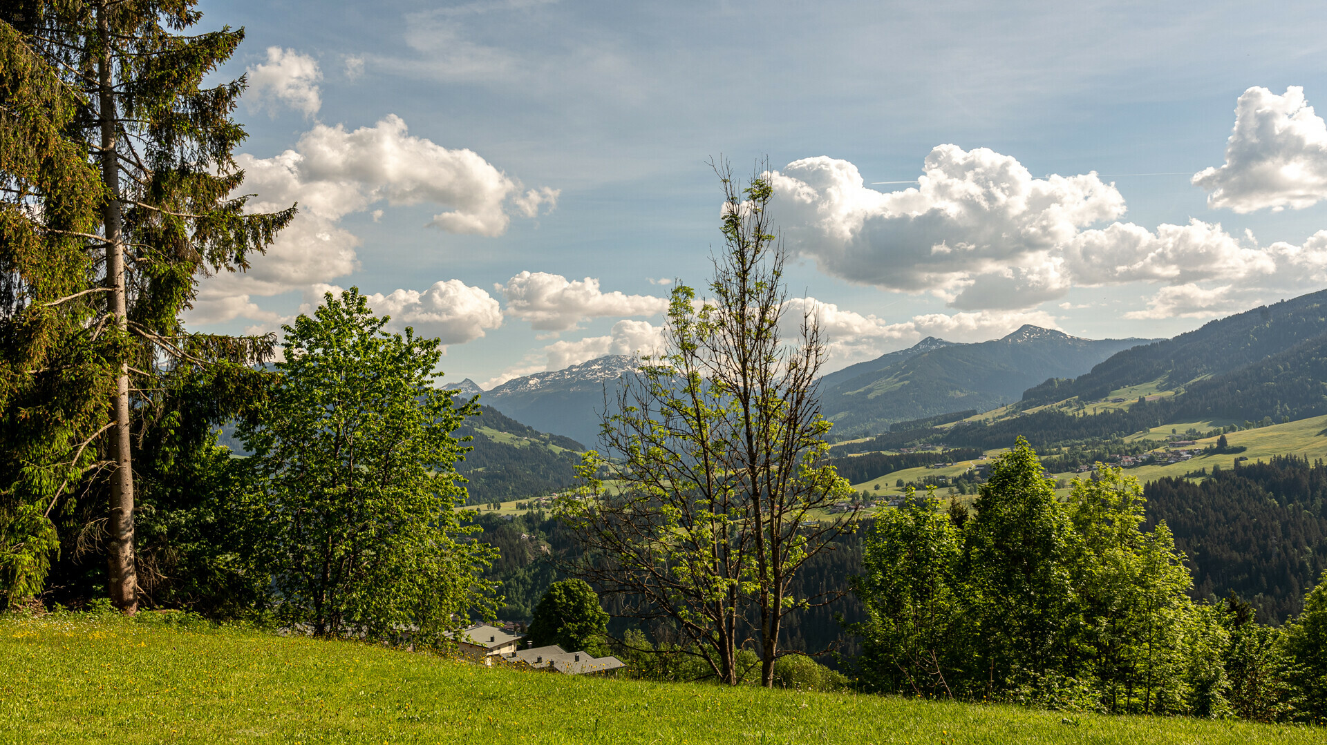 Thumbnail von Grundstück mit Baugenehmigung für 2 Luxuschalets