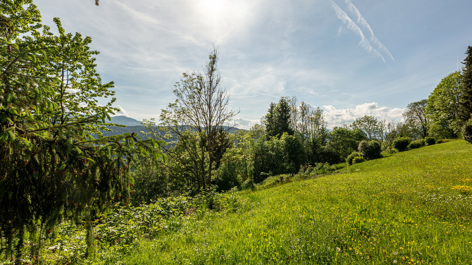 Thumbnail von Grundstück mit Baugenehmigung für 2 Luxuschalets