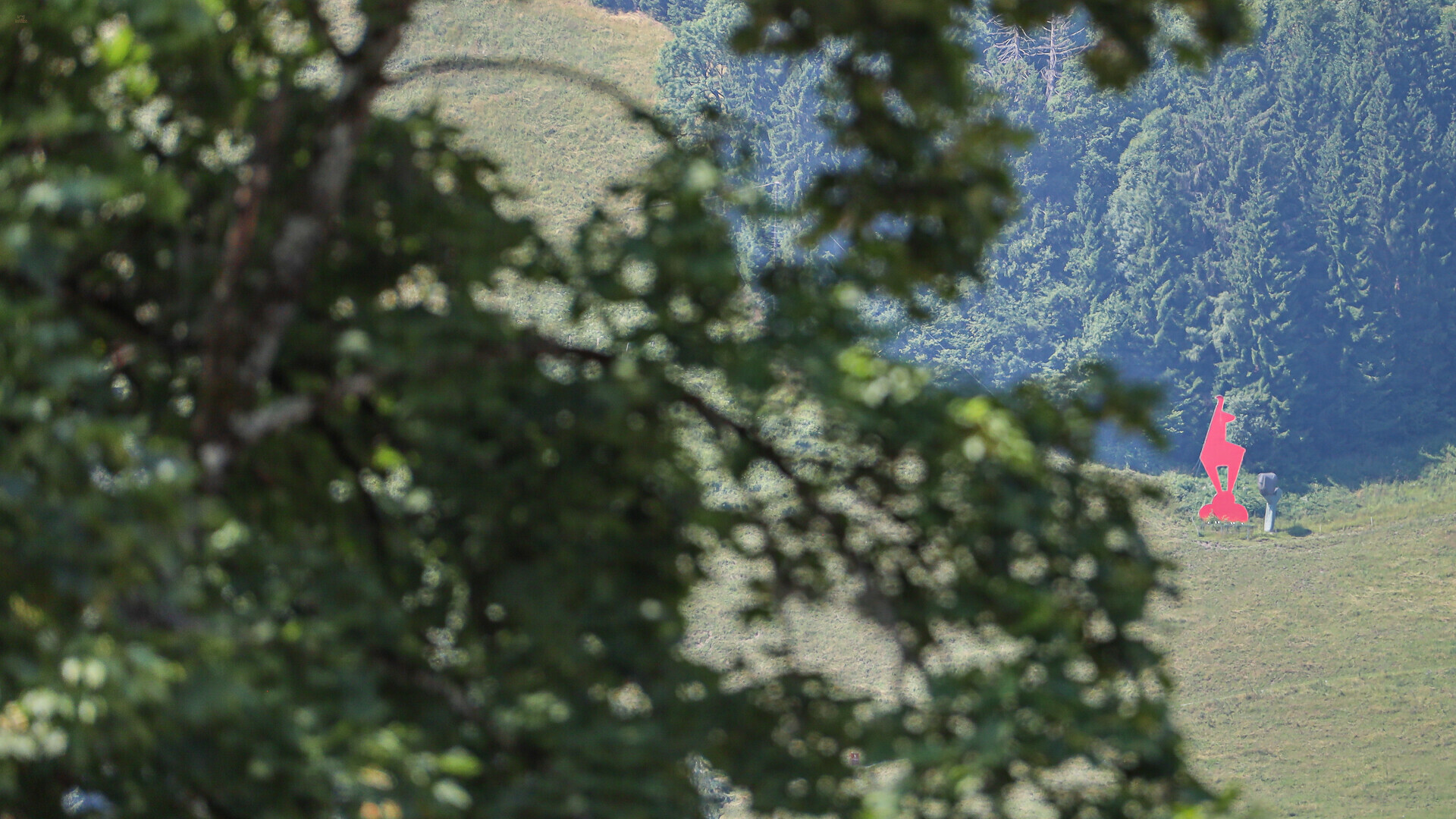 Thumbnail von Luxuriöses Neubauchalet in Top-Ruhelage