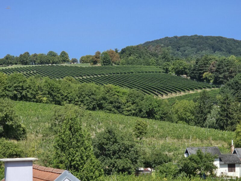 Thumbnail von Wunderschönes Penthouse mit Pool und prachtvollem Blick, Nähe Kahlenberg